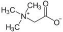 product-124-64 product-124-64